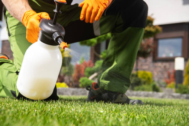 Best Pest Removal Services  in Greenville, KY