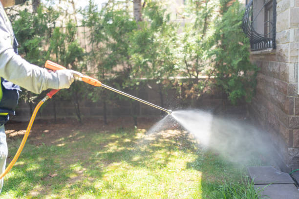 Best Local Pest Control Services  in Greenville, KY