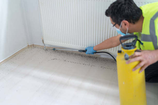 Best Affordable Pest Control Services  in Greenville, KY